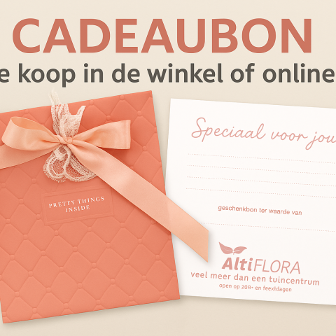 cadeaubon