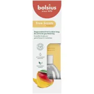 Bolsius Geurstokjes 60ml WE TS MAN