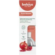 Bolsius Geurstokjes 60ml WE TS POM