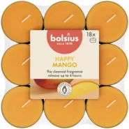 Bolsius Frag Tealight 4hr pck18 MAN