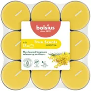 Bolsius Geur theelichten 4h pck18 MIM