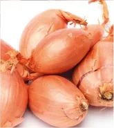 PLANTSJALOT JERMOR 15/35 500G IN NETJE