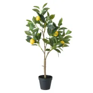 Plant in pot Zitronenbaum, Lemon, Indoor, H 73 cm, Plastic plastic colour-mix