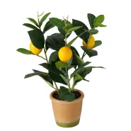 Plant in pot , Lemon, Indoor, H 32 cm, Iron, Concrete, Plastic mixed materials colour-mix
