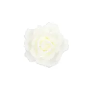 Clip roos creme - h5xd14cm
