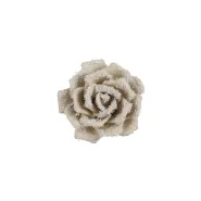 Clip roos champagne frosted - h7xd14cm
