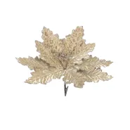 Clip poinsettia champagne - h5xd22cm
