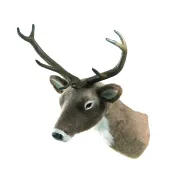 DEER HEAD 32CM BROWN/WHITE