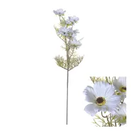 Flowerstem Cosmos 72cm