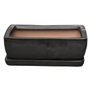 Glazed bonsai l23,5cm w15cm h8,5cm shiny black