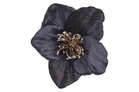 HELLEBORUS CLIP ZWART 9X9X5CM KUNSTSTOF