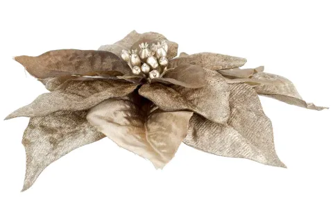 CLIP POINSETTIA TAUPE 18X18X4CM KUNSTSTOF