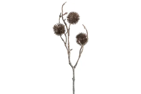 TAK ECHINOPS BRONS 10X5XH33CM KUNSTSTOF