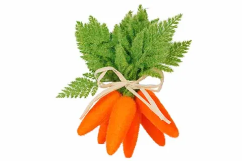 WORTEL BONCH OF 6 FLOCKED ORANJE 15X15X27