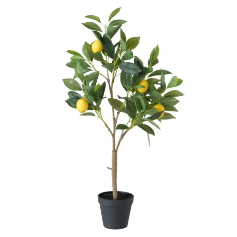 Plant in pot Zitronenbaum, Lemon, Indoor, H 73 cm, Plastic plastic colour-mix