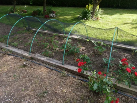 NORTENE ARCEAUX PVC 2.5M