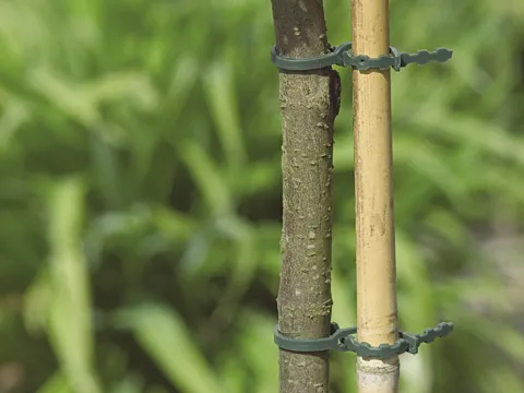 NORTENE FIX 17 - 40 LIENS PLASTIQUE 17CM