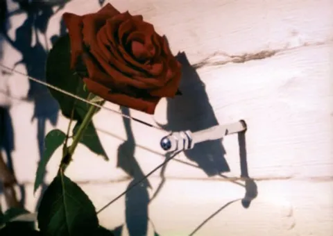 NORTENE PALISSA 10M /10