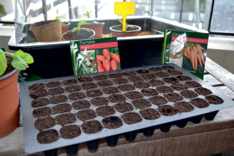 NORTENE PLANTING PLATE 0.35X0.21 (X3)