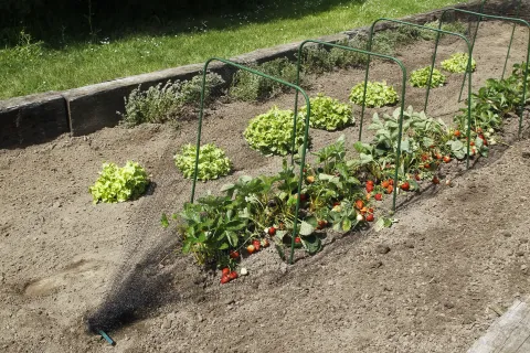 NORTENE SQUAD 80X120CM