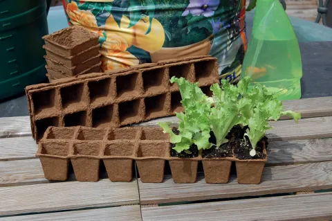 NORTENE GROWING POT PLAQUE 15 X4