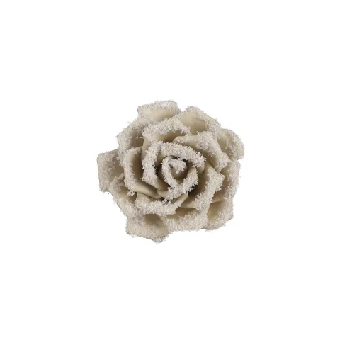 Clip roos champagne frosted - h7xd14cm
