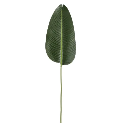 Bananenblad groen - l110cm

