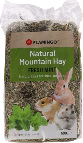 FL KRUIDENHOOI MET MUNT 500GR