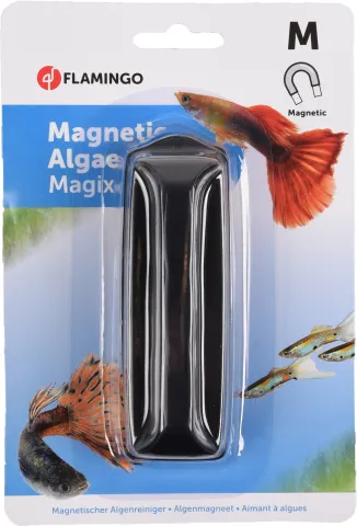 FL ALGENMAGNEET MAGIX MEDIUM