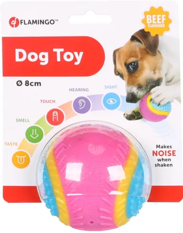 FL DOGTOY 5 SENSES BALL 8CM