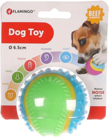 FL DOGTOY 5 SENSES BALL D6.5