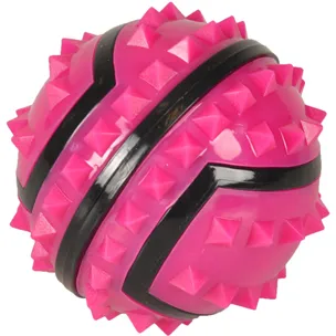 FL HS TPR SPIKY BALL 8CM ROOS