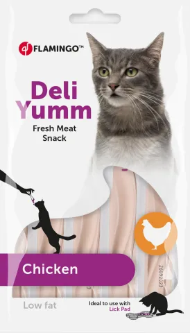 FL DELI YUM MEAT SNACK CHICKEN 14G