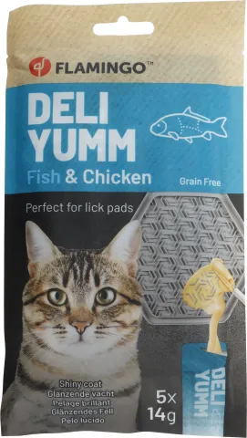 FL DELI YUMM FRESH MEAT SNACK SKIN & COAT 70GR
