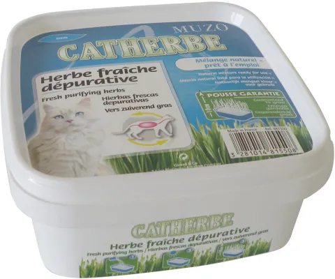 KATTENGRAS CATHERBE 481550