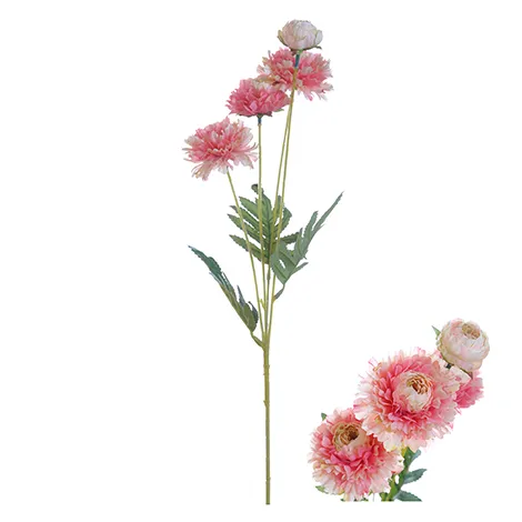 Flower Stem Zinnias 61cm