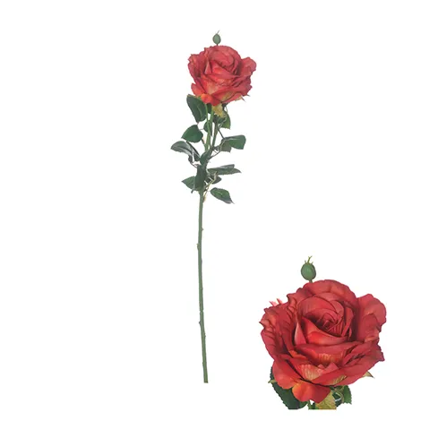 Flowerstem Ireland Rose 66cm