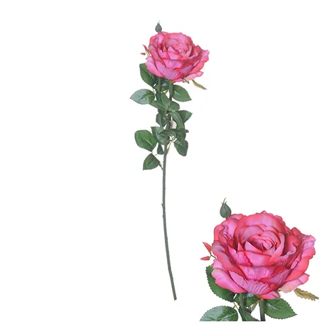 Flowerstem Ireland Rose 66cm