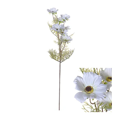 Flowerstem Cosmos 72cm