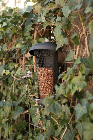 BÛTEN GIFT BLACKSTEEL MUURPINDAFEEDER 25X16.5X9