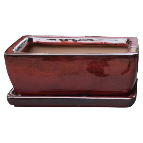 Glazed bonsai l32,8cm w21,5cm h10cm rood