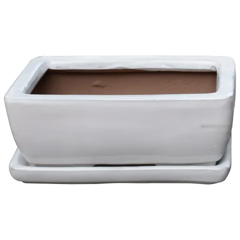 Glazed bonsai l23,5cm w15cm h8,5cm wit